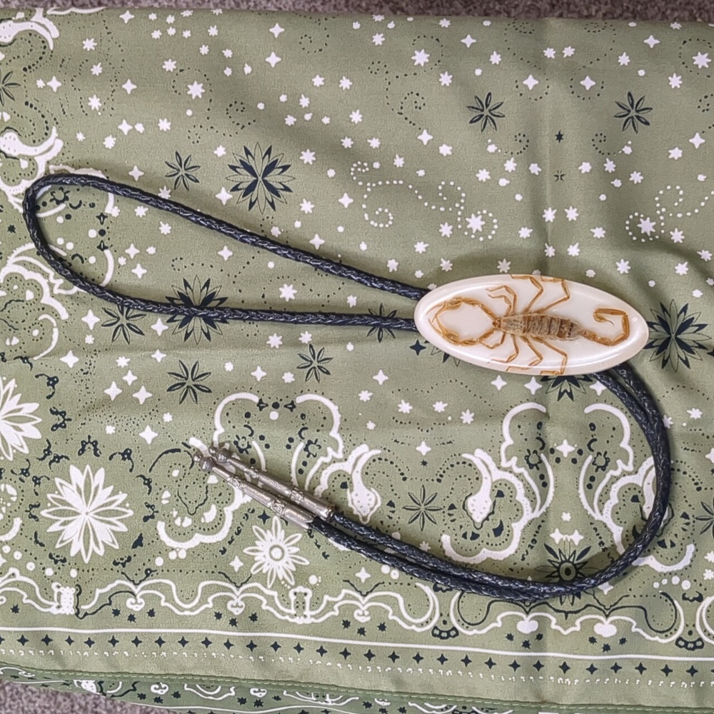 Black Bolo Tie with Scorpion Pendant - Unbranded